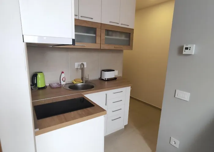 Akord 67 兹拉蒂博尔