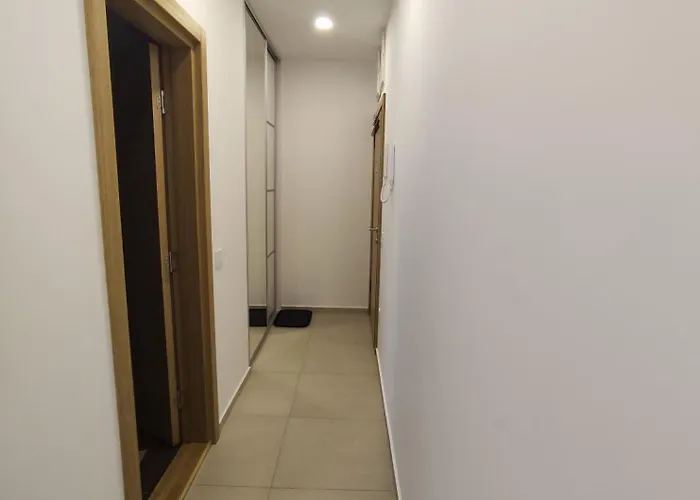 Akord 67 * 兹拉蒂博尔